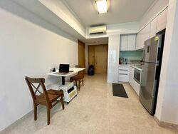 Eight Riversuites (D12), Condominium #482773311